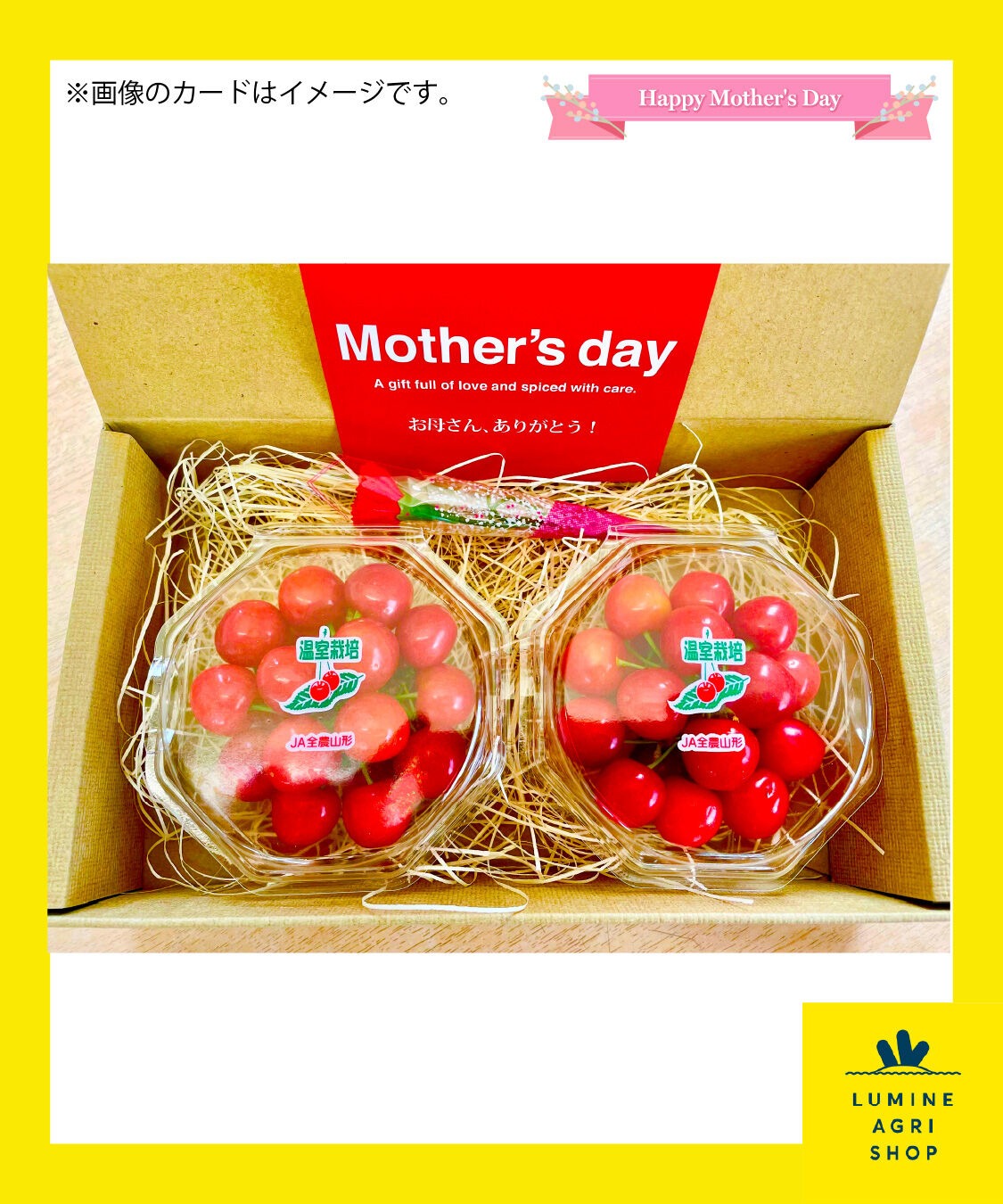【LUMINE AGRI SHOP】【母の日】さくらんぼbox（diamond）