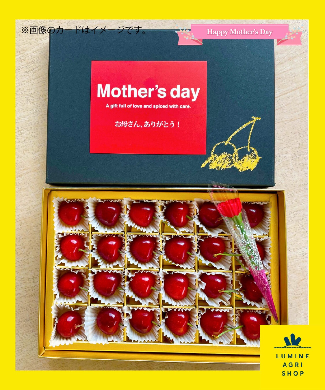 【LUMINE AGRI SHOP】【母の日】さくらんぼbox（chocolate）