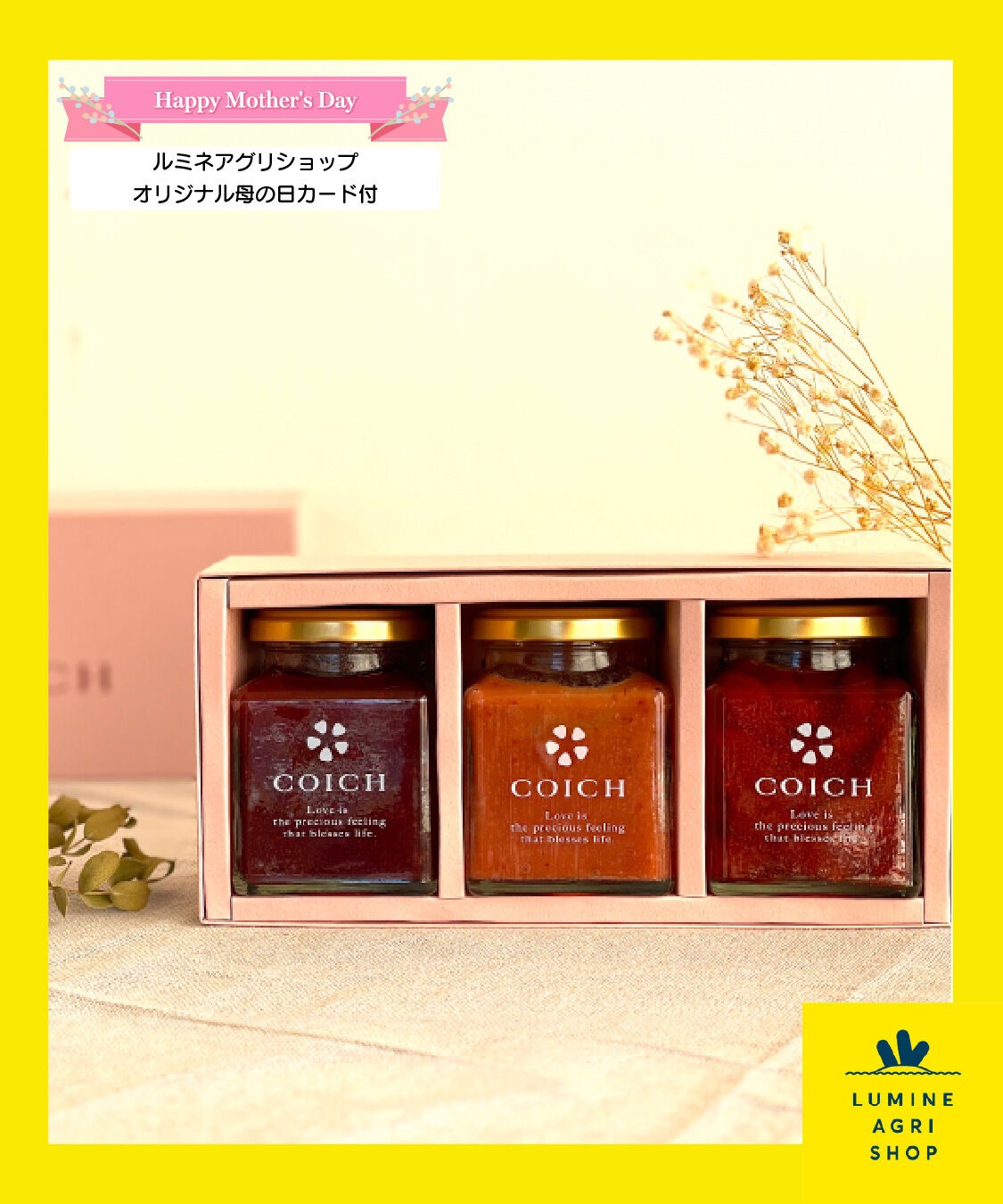 【LUMINE AGRI SHOP】母の日COICHI国産いちごのスプレッド3点セット