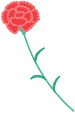 カーネーション左向き