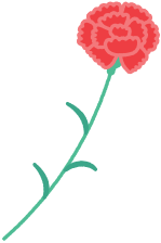 カーネーション右向き