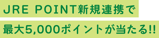 campaign