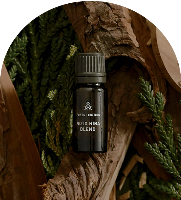 ホリデーギフト2025 能登ヒバブレンド