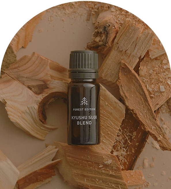 ホリデーギフト2025 九州杉ブレンド