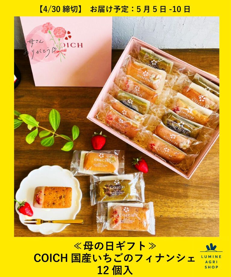 【LUMINE AGRI SHOP】≪母の日ギフト≫COICH国産いちごのフィナンシェ12個入