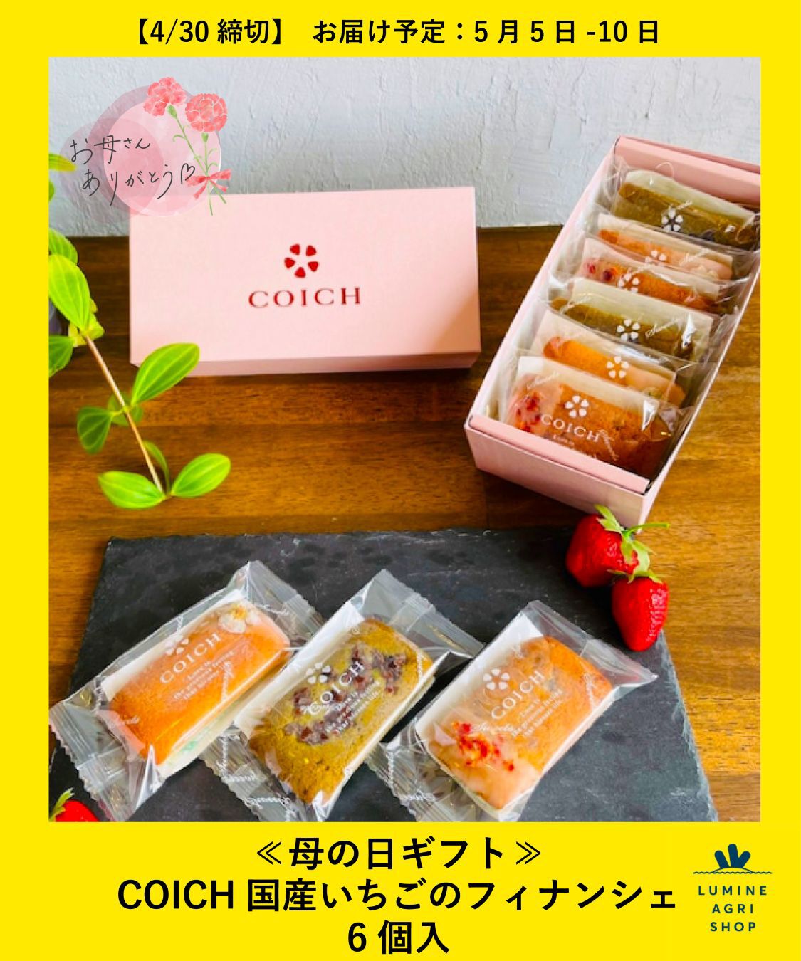 【LUMINE AGRI SHOP】≪母の日ギフト≫COICH国産いちごのフィナンシェ6個入