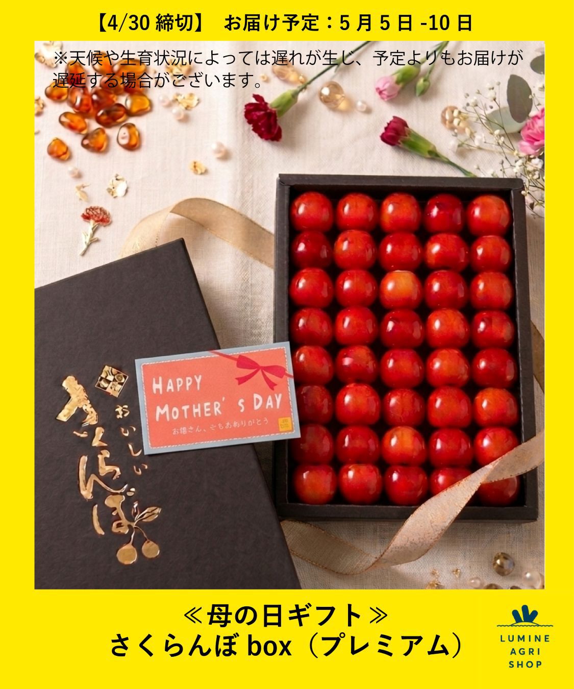 【LUMINE AGRI SHOP】≪母の日ギフト≫さくらんぼbox（プレミアム）