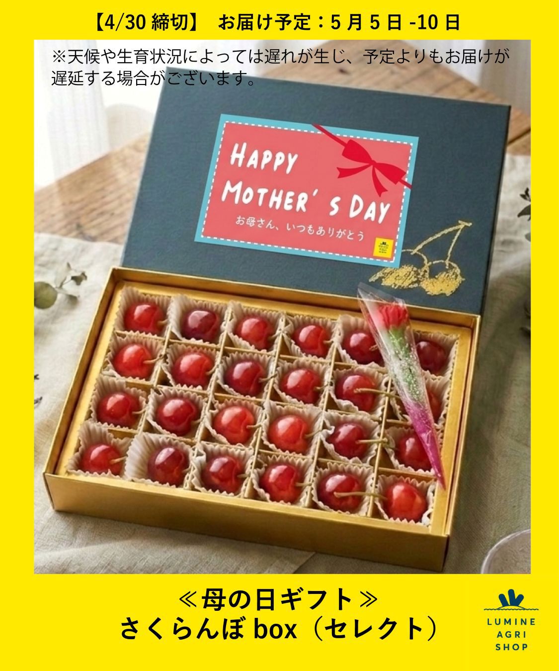 【LUMINE AGRI SHOP】≪母の日ギフト≫さくらんぼbox（セレクト）