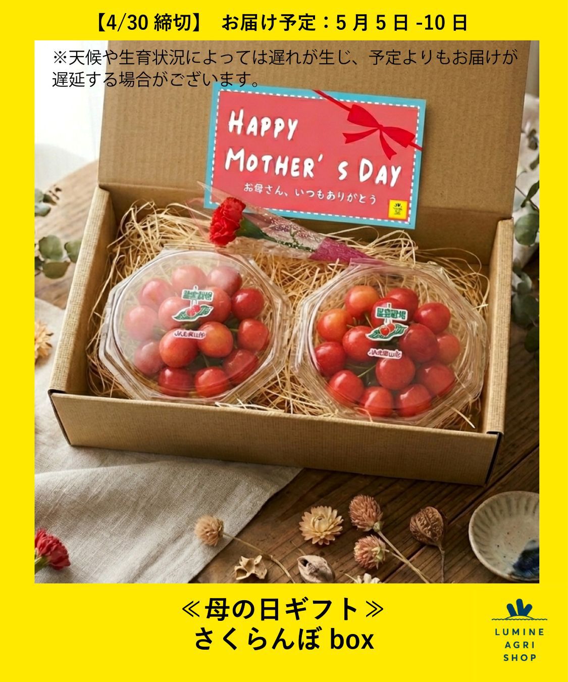 【LUMINE AGRI SHOP】≪母の日ギフト≫さくらんぼbox