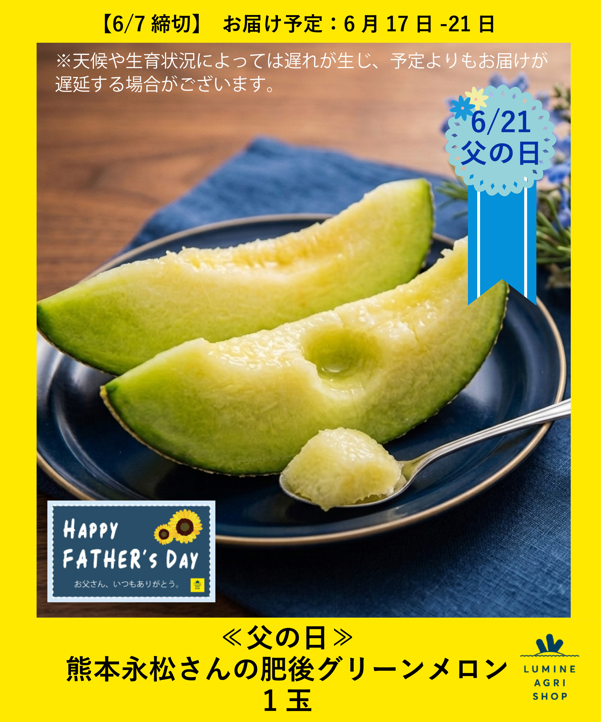 【LUMINE AGRI SHOP】《父の日》熊本永松さんの肥後グリーンメロン1玉